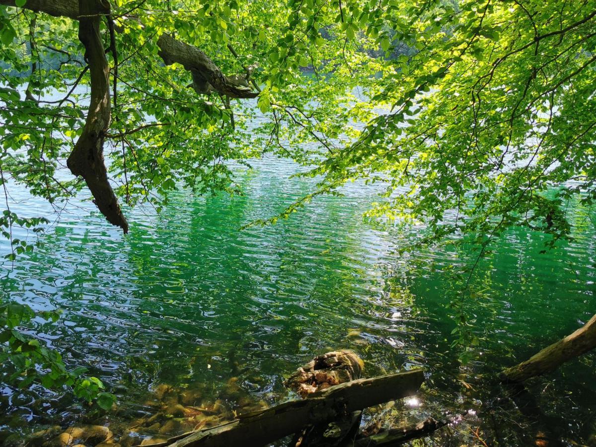 Apartmán Tweet Tohuus Feldberger Seenlandschaft Exteriér fotografie